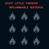 Inflammable Material - LP (0190295448271)