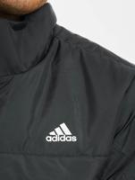 adidas Originals / Gewatteerde jassen BSC 3-Stripes in zwart