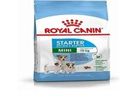 Royal Canin Starter Mini 1 kg