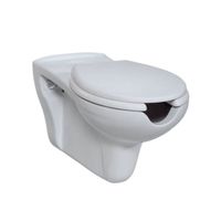 Closetzitting Creavit Inox Scharnieren & Softclose Wit TBV Mindervalide toilet Creavit