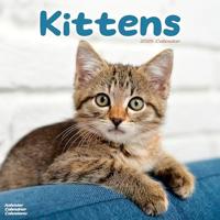 Kittens Calendar 2026 Square Cats Wall Calendar - 16 Month