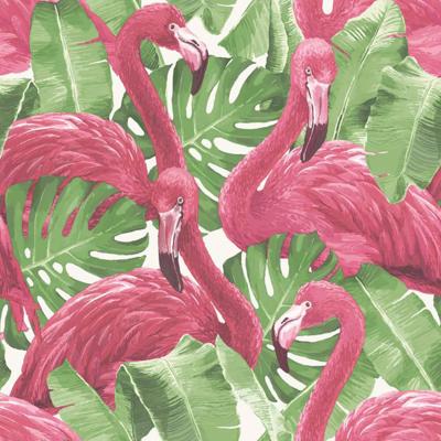 Noordwand Behang Flamingo and Monstera roze Noordwand Behang Flamingo and Monstera roze