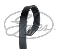 Poly V-riem Micro-V® GATES, u.a. für Volvo, Land Rover, Ford, Citroën, Peugeot, Skoda, Mitsubishi