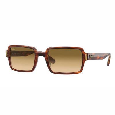 Ray-Ban zonnebril Benji 0RB2189 bruin