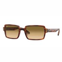 Ray-Ban zonnebril Benji 0RB2189 bruin