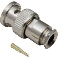 TRU COMPONENTS 1579565 BNC-connector Stekker, recht 50 Ω 1 stuk(s)