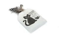 Beeztees Lumi Catnip Kussentje - Kattenspeelgoed - 12x6x1 cm