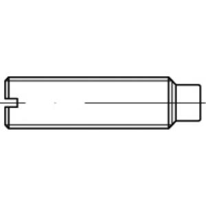 TOOLCRAFT TO-5435103 Draadpen M12 20 mm 50 stuk(s)