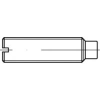 TOOLCRAFT TO-5435103 Draadpen M12 20 mm 50 stuk(s)