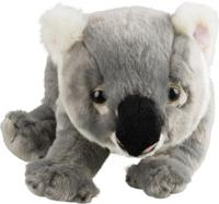 National Geographic knuffel koala 26 cm pluche grijs