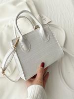 Krokodil Patroon Handbediend Een Schouder Crossbody Klein Plein Tas