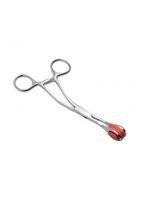 Stainless Steel Forceps