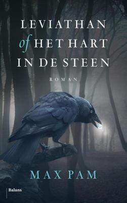 Leviathan of Het hart in de steen - Max Pam - eBook (9789460034572)