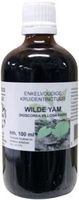 Natura Sanat Dioscorea villosa / wilde yam tinctuur (100 ml)