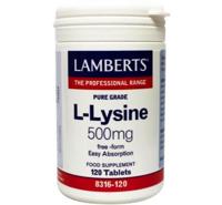 Lamberts L-lysine 500 Mg (120tb)