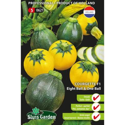 Courgette Eight Ball F1 & One Ball F1 Courgette Eight Ball F1 & One Ball F1