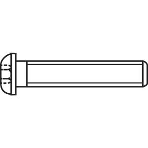 TOOLCRAFT 839790 Lenskopschroeven M3 6 mm Binnenzeskant (inbus) RVS A2 100 stuk(s)