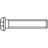 TOOLCRAFT 839790 Lenskopschroeven M3 6 mm Binnenzeskant (inbus) RVS A2 100 stuk(s)