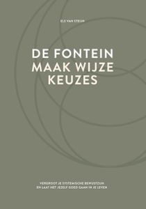 De fontein, maak wijze keuzes - Els van Steijn - ebook