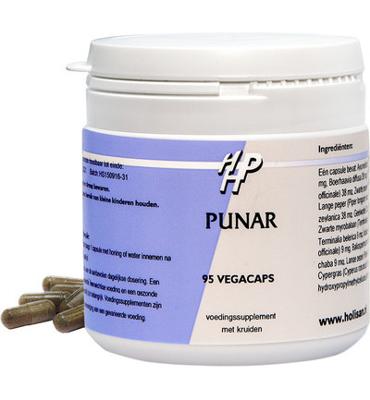 Holisan Holisan Punar (95ca) Holisan Holisan Punar (95ca)