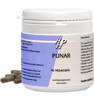 Holisan Holisan Punar (95ca)