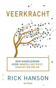 Veerkracht - Rick Hanson - ebook