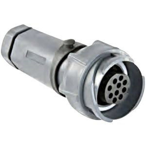 Bulgin PXP7011/10S/CR/0911 Ronde connector Koppeling, recht Totaal aantal polen: 10 Serie (ronde connectors): Buccaneer 7000 1 stuk(s)