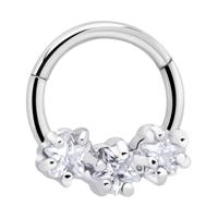 Hinged Segment Ring Chirurgisch staal 316L Piercingringen - thumbnail