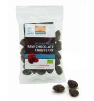 Mattisson Cranberries Snack Raw Chocolate Bio (35g)
