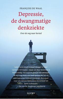 Depressie, de dwangmatige denkziekte