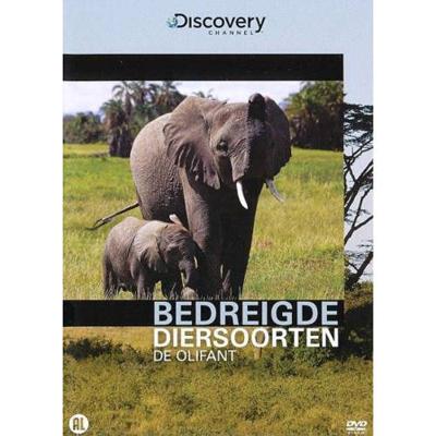 Bedreigde diersoorten - De olifant (DVD)