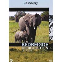 Bedreigde diersoorten - De olifant (DVD)