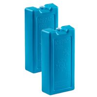 2x stuks 1100 grams koelelementen 22 x 11.5 cm blauw