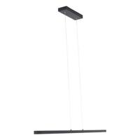 Mexlite Hanglamp Danske 2745ZW Zwart - thumbnail