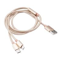 Akasa 2 in 1 USB 2.0 Kabel Typ A naar Micro-B en Typ C - 1m, goud
