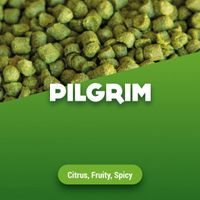 Hopkorrels Pilgrim - 1 kg - thumbnail