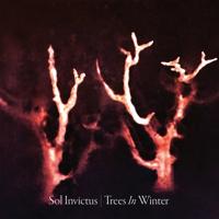 Trees In Winter - CD (0884388303638)