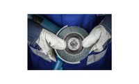 PFERD 67788127 Lamellenschijf Diameter 125 mm 10 stuk(s) - thumbnail