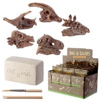 Dinosaurus Schedel Opgraving set - 1 stuk