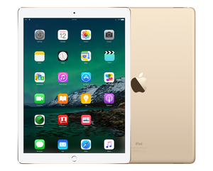 Refurbished iPad Pro 12.9 inch 2017 256 GB 4G Goud Licht gebruikt