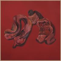 Body Cults - LP (4024572973308)