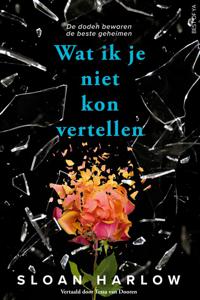 Wat ik je niet kon vertellen - Sloan Harlow - ebook