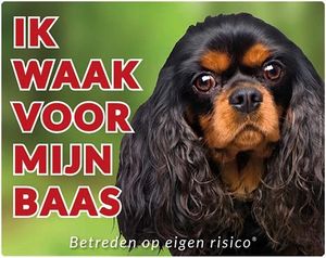 Cavalier King Charles Spaniel Waakbord - Ik waak voor mijn baas