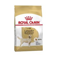 Royal canin Canin Canin labrador retriever adult - thumbnail