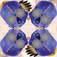 Nymph - CD (0656605758022)