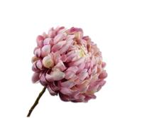 Silk-ka Kunstbloem chrysant tak roze-crème 64 cm