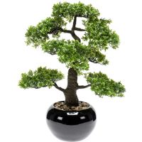 Bonsai boompje Ficus Retusa kunstplant in kunststof pot 47 cm - thumbnail