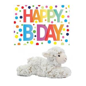 Pluche knuffel lammetje/schaap 22 cm met A5-size Happy Birthday wenskaart