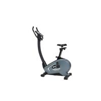 Horizon Fitness Paros 2.0 Hometrainer