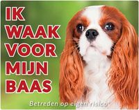 Cavalier King Charles Spaniel Waakbord - Ik waak voor mijn Baas